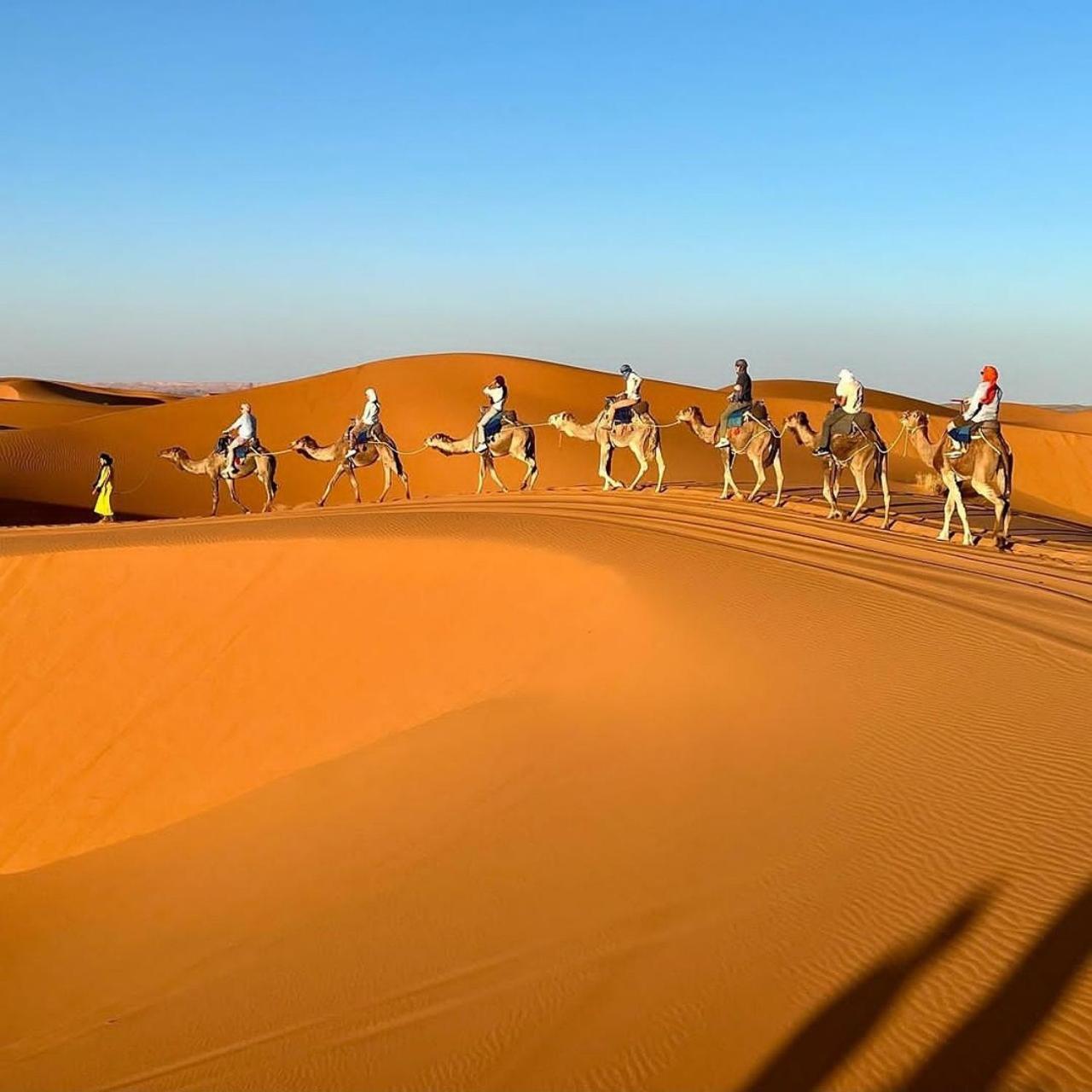 Tente de luxe Bivouac La Fibule Des Dunes 5*