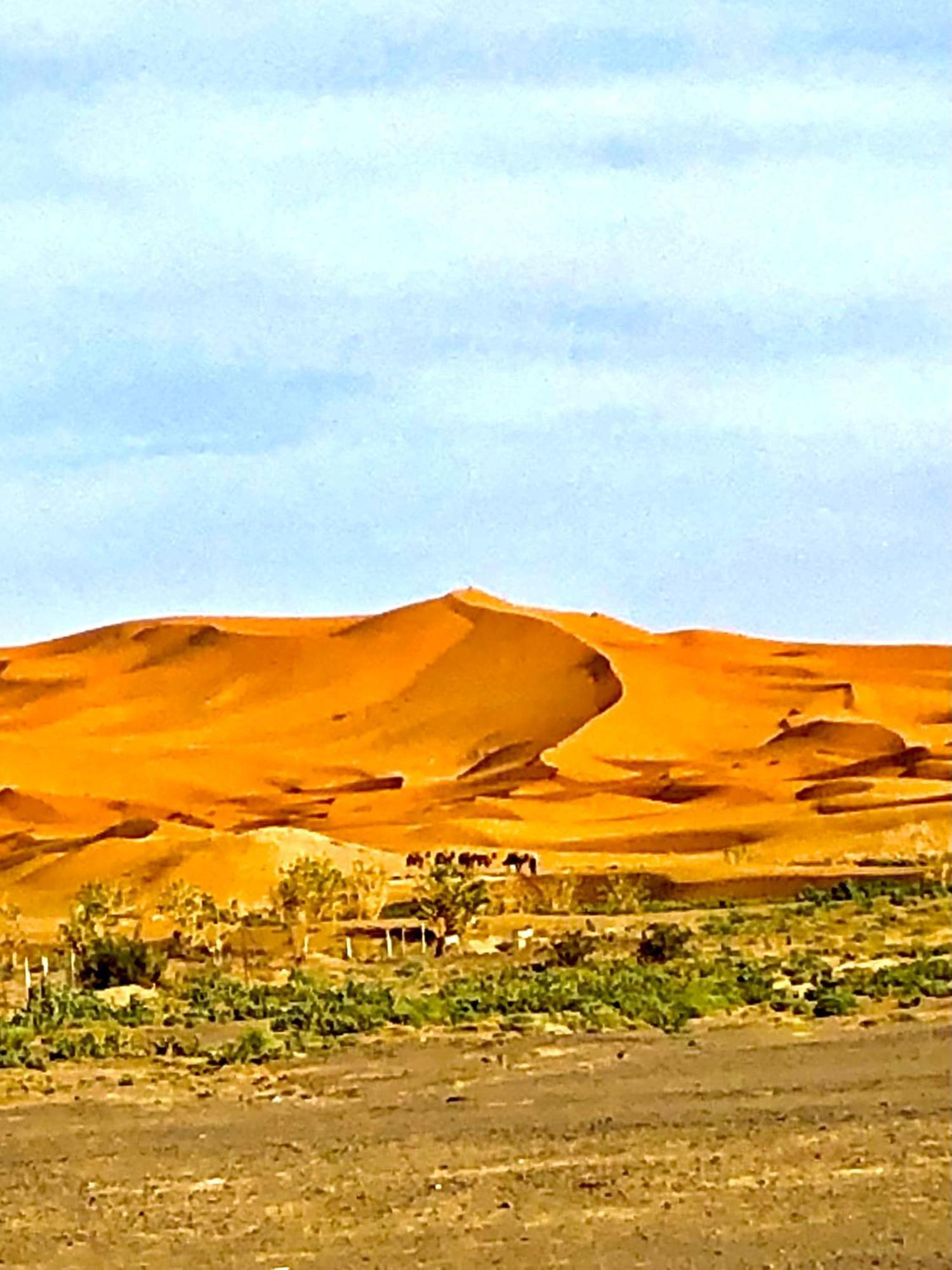 Luxury tent Bivouac La Fibule Des Dunes